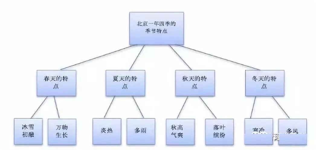 最新一級情況概述，深入解析某觀點的論述