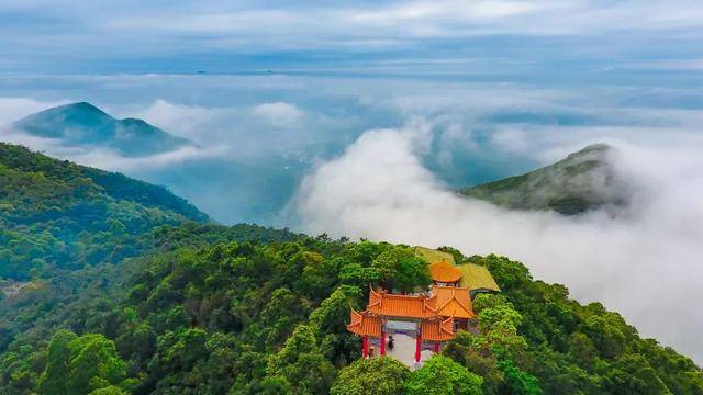 西平縣新聞熱點，探索自然美景之旅，尋找內心平和的旅程