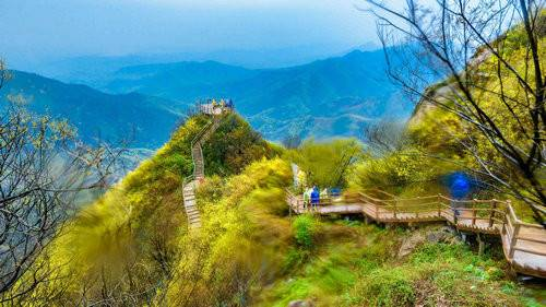 『自然美景探索之旅，最新山野春情之旅』