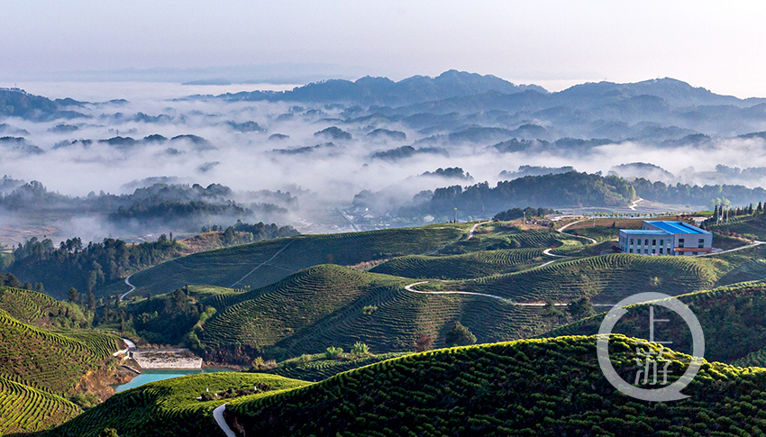 南川最新動態(tài)，自然美景探索之旅，尋覓內(nèi)心平和寧靜的歸宿