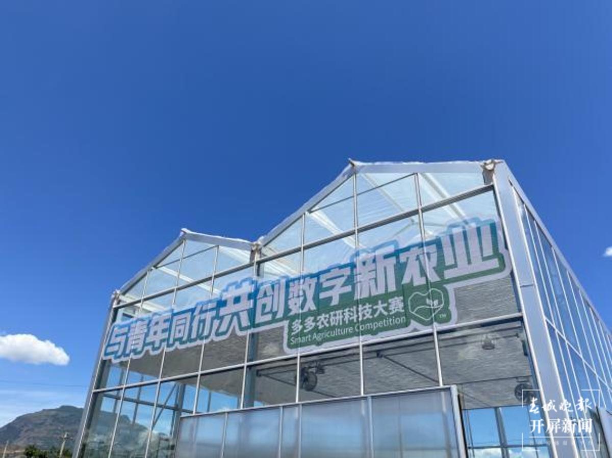 探索前沿科技，最新番茄高科技產品魅力一覽