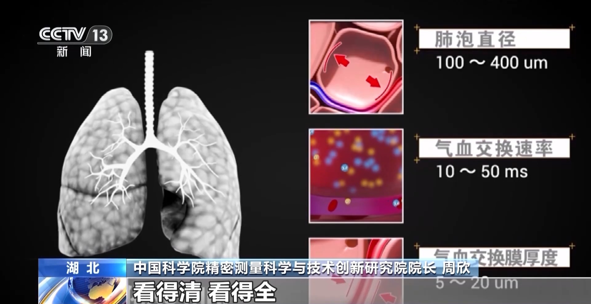 探索肺部健康的最新進展，最新肺部數據發布