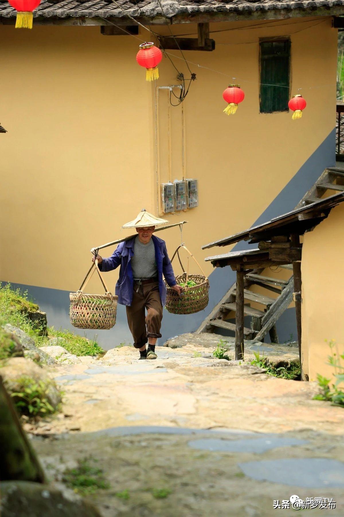 探索自然美景，尋找內心平和——最新旅行秀陪你一同前行