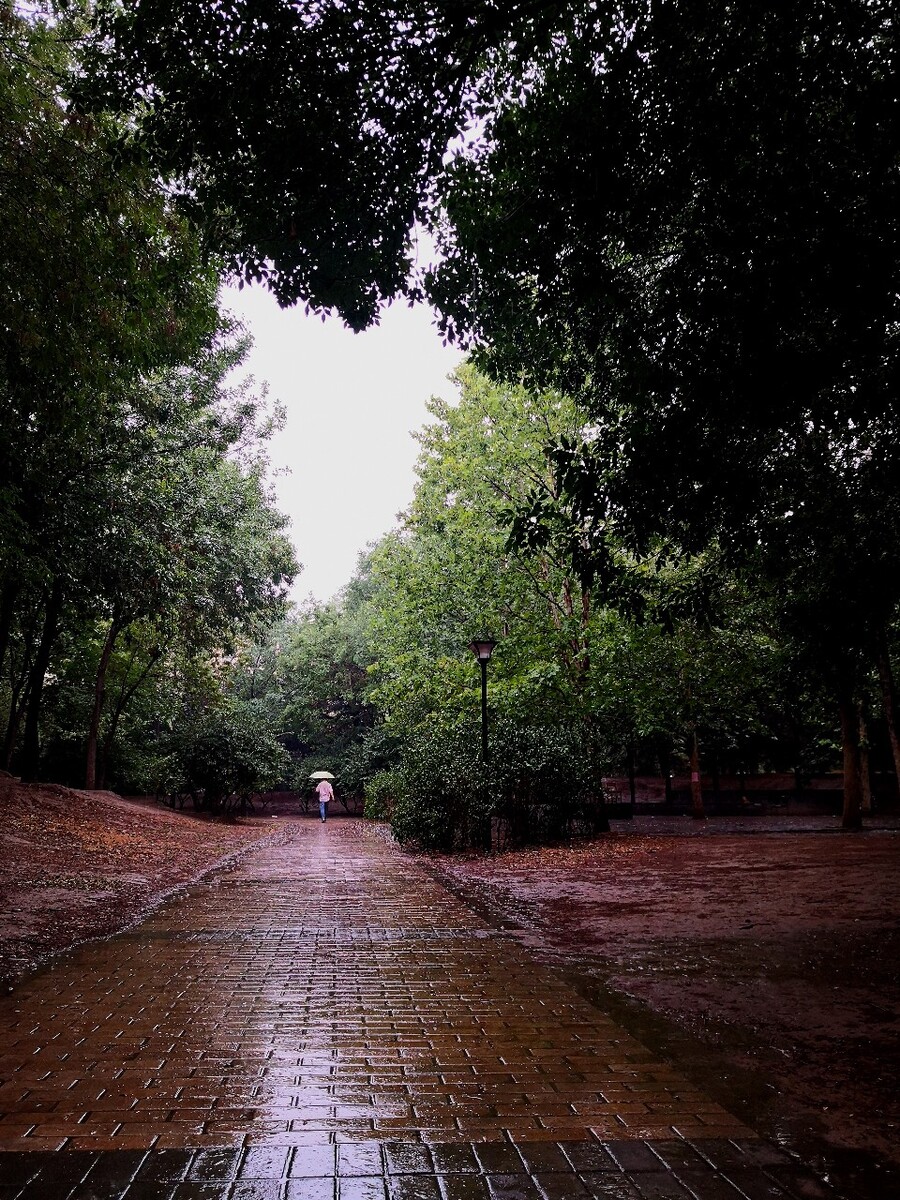 晨雨最新動態報道