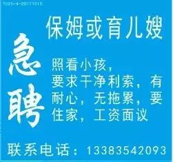 藤縣人才招聘信息，小城求職奇遇與友情紐帶探索