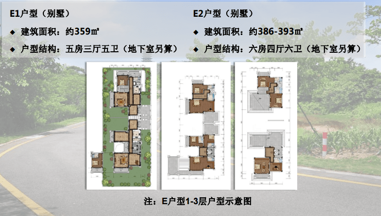 洛陽公租房最新動態(tài)，公屋溫馨日常揭秘