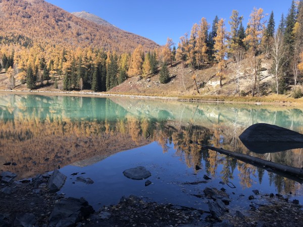 隆化臥龍灣最新動態，自然美景探索之旅，內心平和之境的尋覓